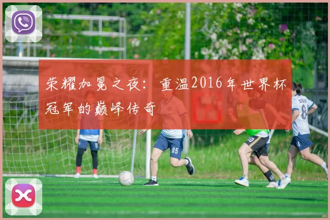 荣耀加冕之夜:重温2016年世界杯冠军的巅峰传奇
