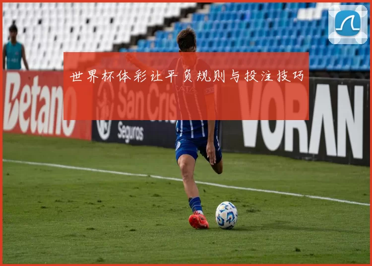 世界杯体彩让平负规则与投注技巧