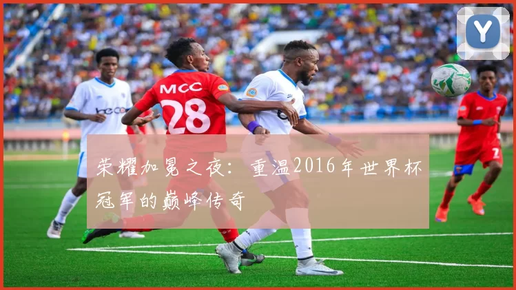 荣耀加冕之夜:重温2016年世界杯冠军的巅峰传奇