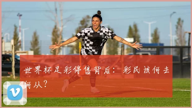 世界杯足彩停售背后:彩民该何去何从?