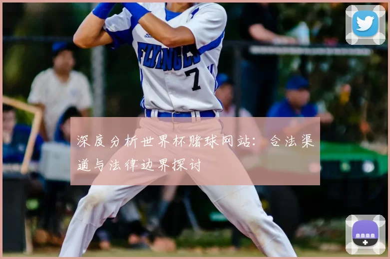 深度分析世界杯赌球网站：合法渠道与法律边界探讨