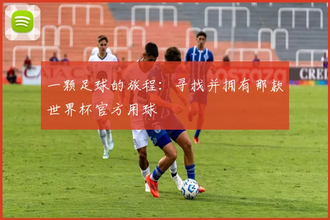 一颗足球的旅程:寻找并拥有那款世界杯官方用球