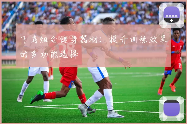 飞鸟组合健身器材:提升训练效果的多功能选择