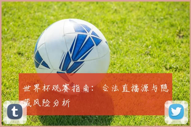 世界杯观赛指南:合法直播源与隐藏风险分析