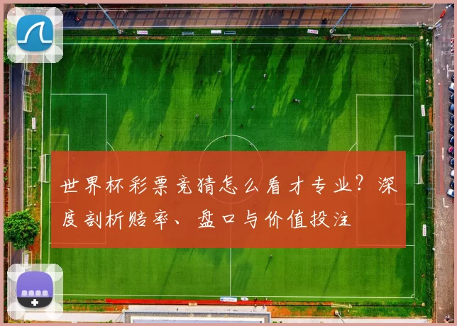 世界杯彩票竞猜怎么看才专业?深度剖析赔率、盘口与价值投注