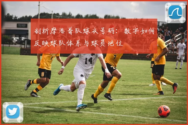 剖析摩洛哥队球衣号码：数字如何反映球队体系与球员地位