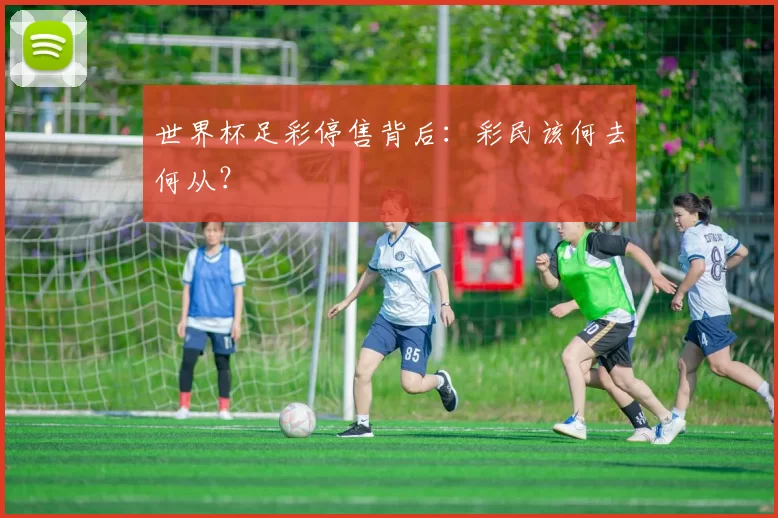世界杯足彩停售背后：彩民该何去何从？
