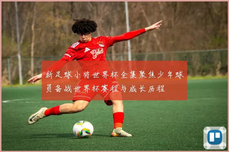 新足球小将世界杯全集聚焦少年球员备战世界杯赛程与成长历程