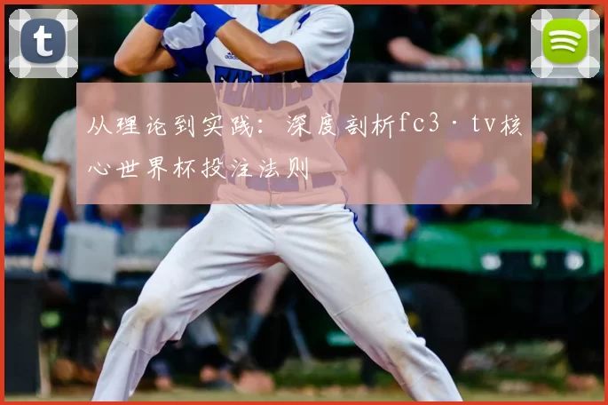 从理论到实践:深度剖析fc3·tv核心世界杯投注法则