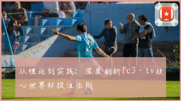 从理论到实践:深度剖析fc3·tv核心世界杯投注法则