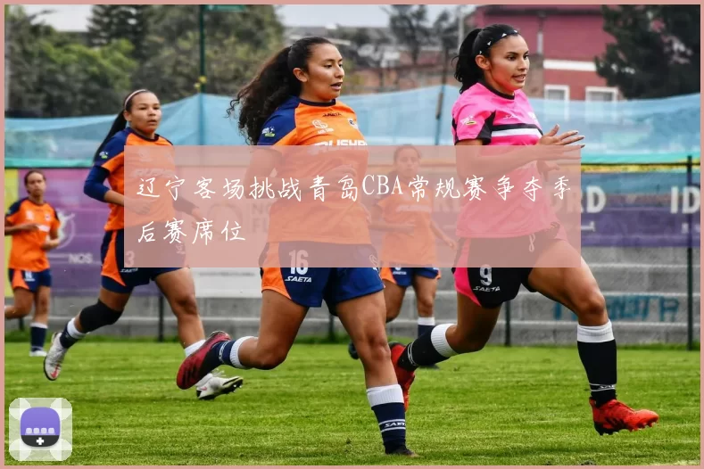 辽宁客场挑战青岛CBA常规赛争夺季后赛席位