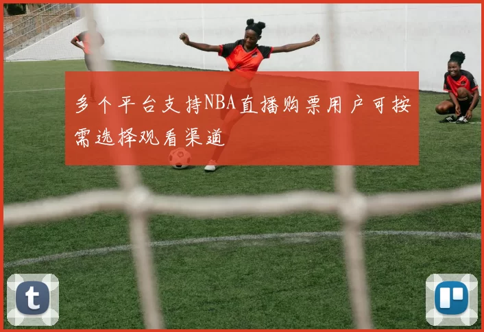多个平台支持NBA直播购票用户可按需选择观看渠道