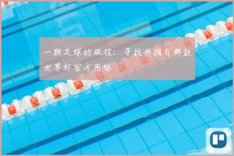 一颗足球的旅程：寻找并拥有那款世界杯官方用球